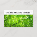 Suche nach baumstamm visitenkarten Natur