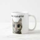 Recherche de gros chat tasses Tabby