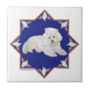 Suche nach bichon frise fliesen Hunde