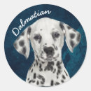 Recherche de dalmatiens autocollants Dalmate