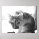 Suche nach kitschige poster Vintag