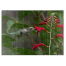 Recherche de colibris planches à découper Jardin