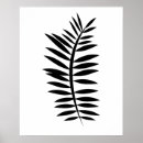Suche nach bäume australien Grün
