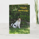 Suche nach bemannt postkarten Bemannt besten freund