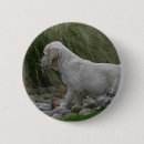 Suche nach ausdehnen accessoires Retriever golden