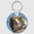 Recherche de raptor porteclés Faucon