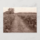 Recherche de vignoble cartes postales Tourisme