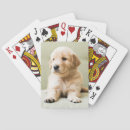Suche nach puppy spielkarten Niedliches baby