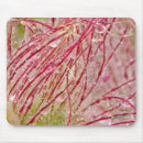 Suche nach wassertropfen mousepads Makro