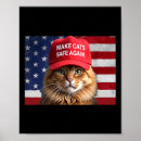 Recherche de anti hillary clinton posters Vrai