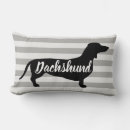 Suche nach dackeln kissen Haustiere