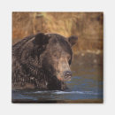 Recherche de steve magnets Portrait