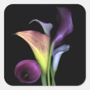 Suche nach calla lilien aufkleber Für sie