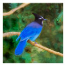 Suche nach bird painting poster Jay