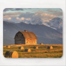 Suche nach heuballen mousepads Bauernhof