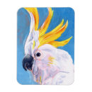 Recherche de oiseaux exotiques magnets Tropicaux