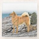 Suche nach finnischer untersetzer Hund