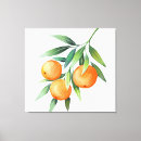 Recherche de isolement art Illustration