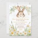 Suche nach bunny rabbit einladungen Sonniges kaninchen