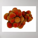 Suche nach pathologie poster Digital generiertes bild