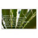 Recherche de verts photographie Nature