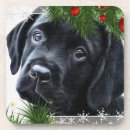 Suche nach jagdhund untersetzer Welpe