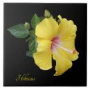 Suche nach gelber hibiskus fliesen Natur