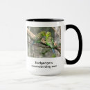 Suche nach budgerigars Budgies