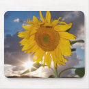 Suche nach hybrider mousepads Botanisch