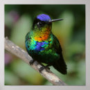 Suche nach brennender poster Natur