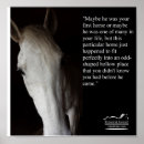 Recherche de blake posters Cheval