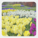 Suche nach narzisse aufkleber Daffodil