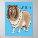 Suche nach raues collies poster Haustiere