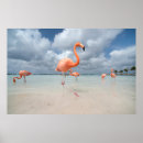 Recherche de antilles art Aruba