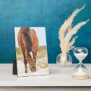 Recherche de portrait cheval plaques Ferme