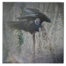 Suche nach truthahn fliesen Tierwelt