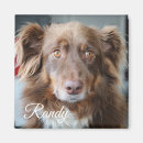 Recherche de chien domestique magnets Dogs