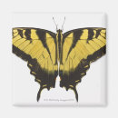 Suche nach frack magnete Natur