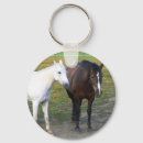 Recherche de colt porteclés Poulain