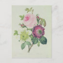Recherche de pierre joseph cartes postales Rose