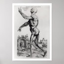 Suche nach bedingung poster Vesalius