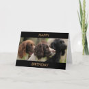 Suche nach spaniels karten Cocker spaniel