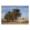 Recherche de sable dunes posters Afrique