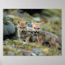 Suche nach torres del paine poster Tier