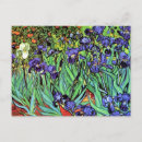 Recherche de iris van gogh cartes postales Jardin