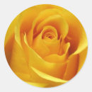 Suche nach rosenaufkleber Hochzeitsaufkleber
