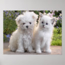 Recherche de herbe verte posters Pour eux