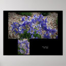 Suche nach columbine poster Säulen