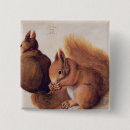 Suche nach eichhörnchen buttons Nuss