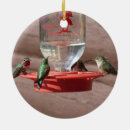 Recherche de colibris ornements Toute personne